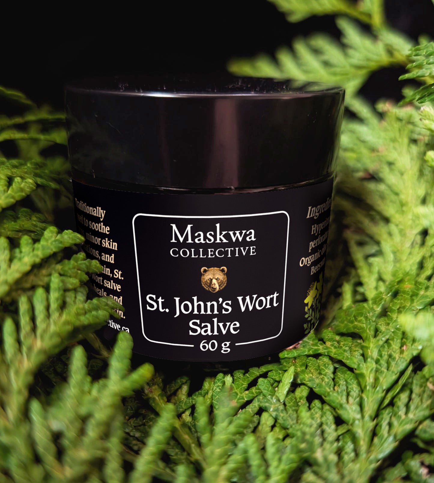 St Johns Wort Salve